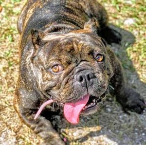 Meet your Posher, Marlon